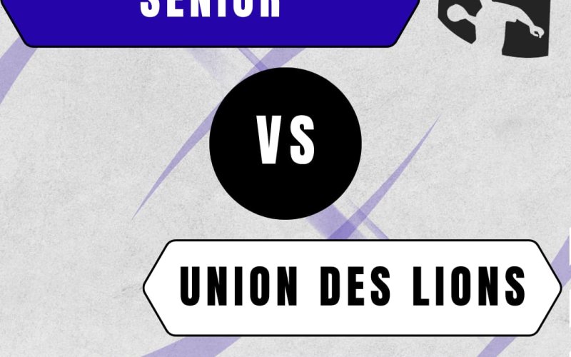 Actualité Match au sommet pour nos Seniors ce samedi ! - HandBall Club de Chaponnay